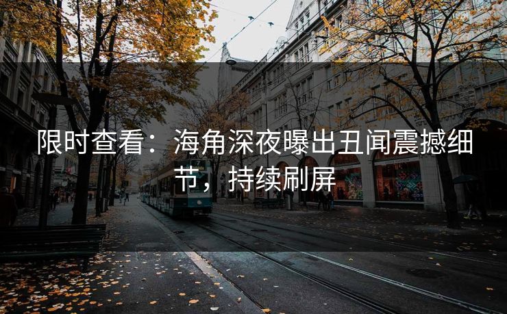 限时查看：海角深夜曝出丑闻震撼细节，持续刷屏