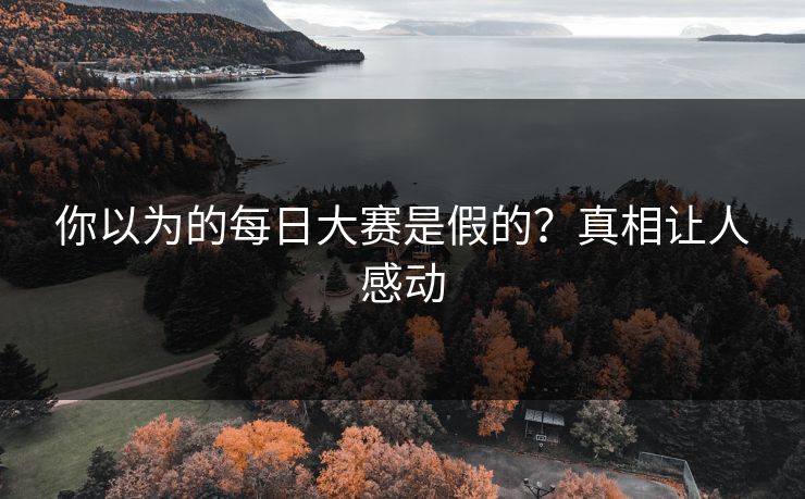 你以为的每日大赛是假的？真相让人感动