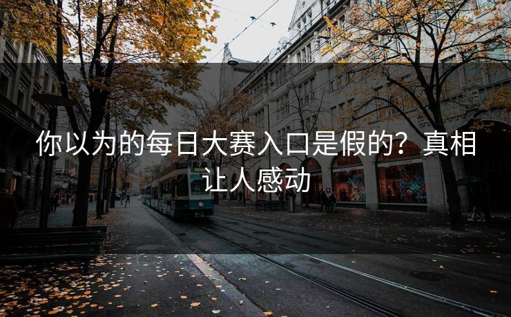 你以为的每日大赛入口是假的？真相让人感动