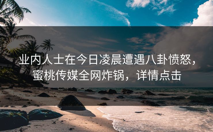 业内人士在今日凌晨遭遇八卦愤怒，蜜桃传媒全网炸锅，详情点击