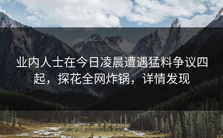 业内人士在今日凌晨遭遇猛料争议四起，探花全网炸锅，详情发现
