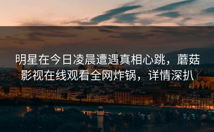 明星在今日凌晨遭遇真相心跳，蘑菇影视在线观看全网炸锅，详情深扒