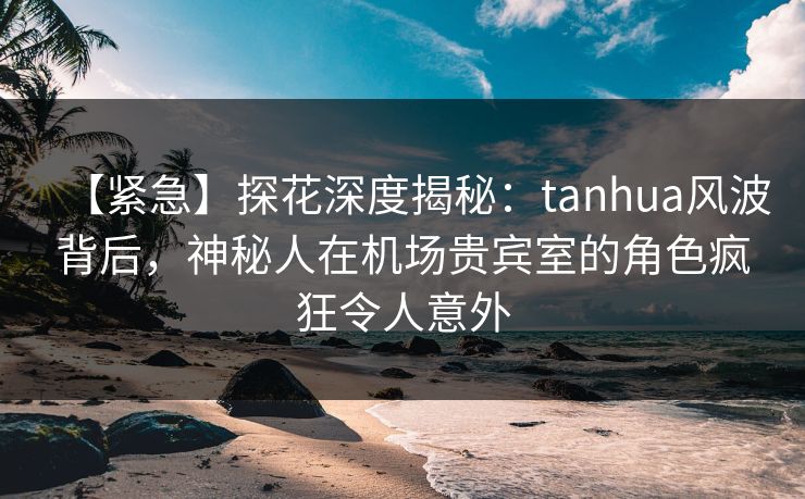【紧急】探花深度揭秘：tanhua风波背后，神秘人在机场贵宾室的角色疯狂令人意外